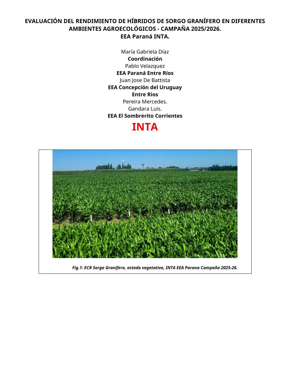 INTA Paraná – Sorgo granífero - página 1