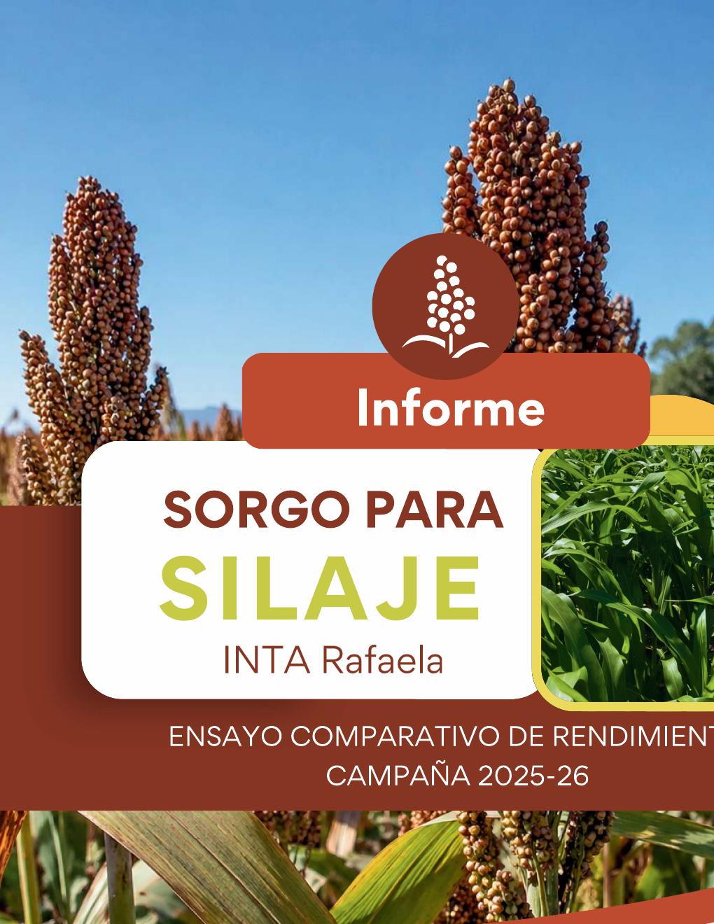 INTA Rafaela – Sorgo para silaje - página 1