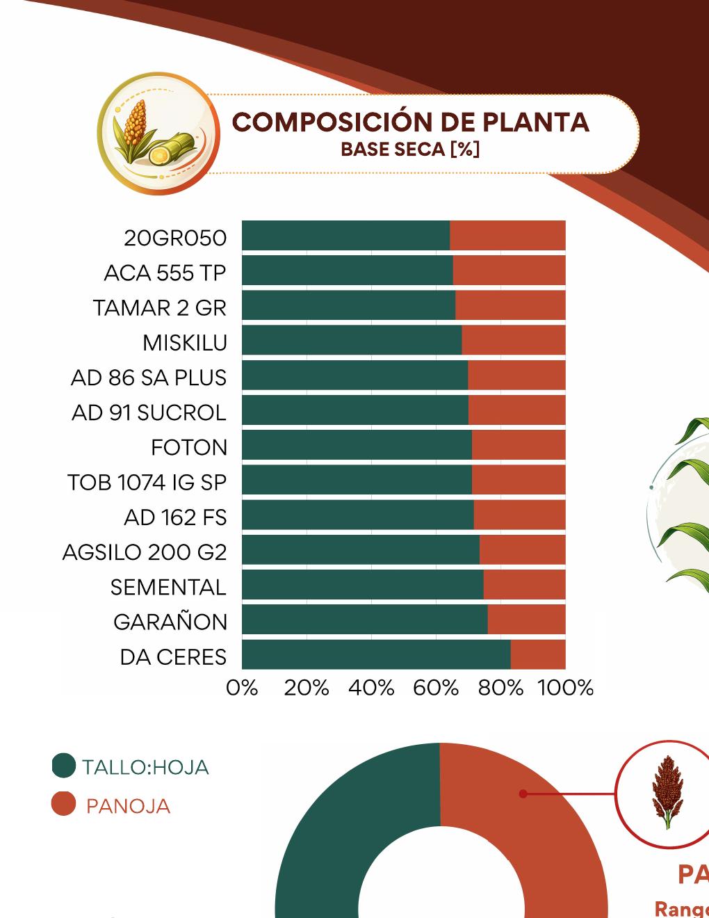 INTA Rafaela – Sorgo para silaje - página 4