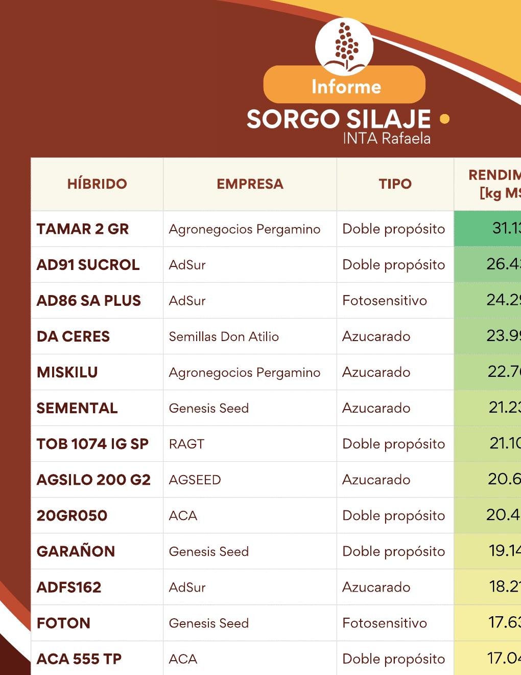INTA Rafaela – Sorgo para silaje - página 6