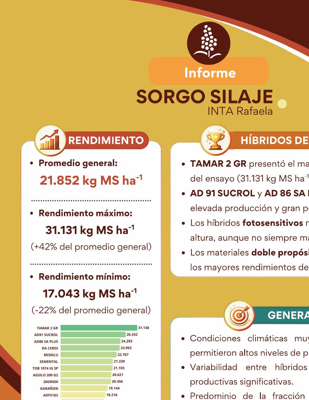 INTA Rafaela – Sorgo para silaje - página 7